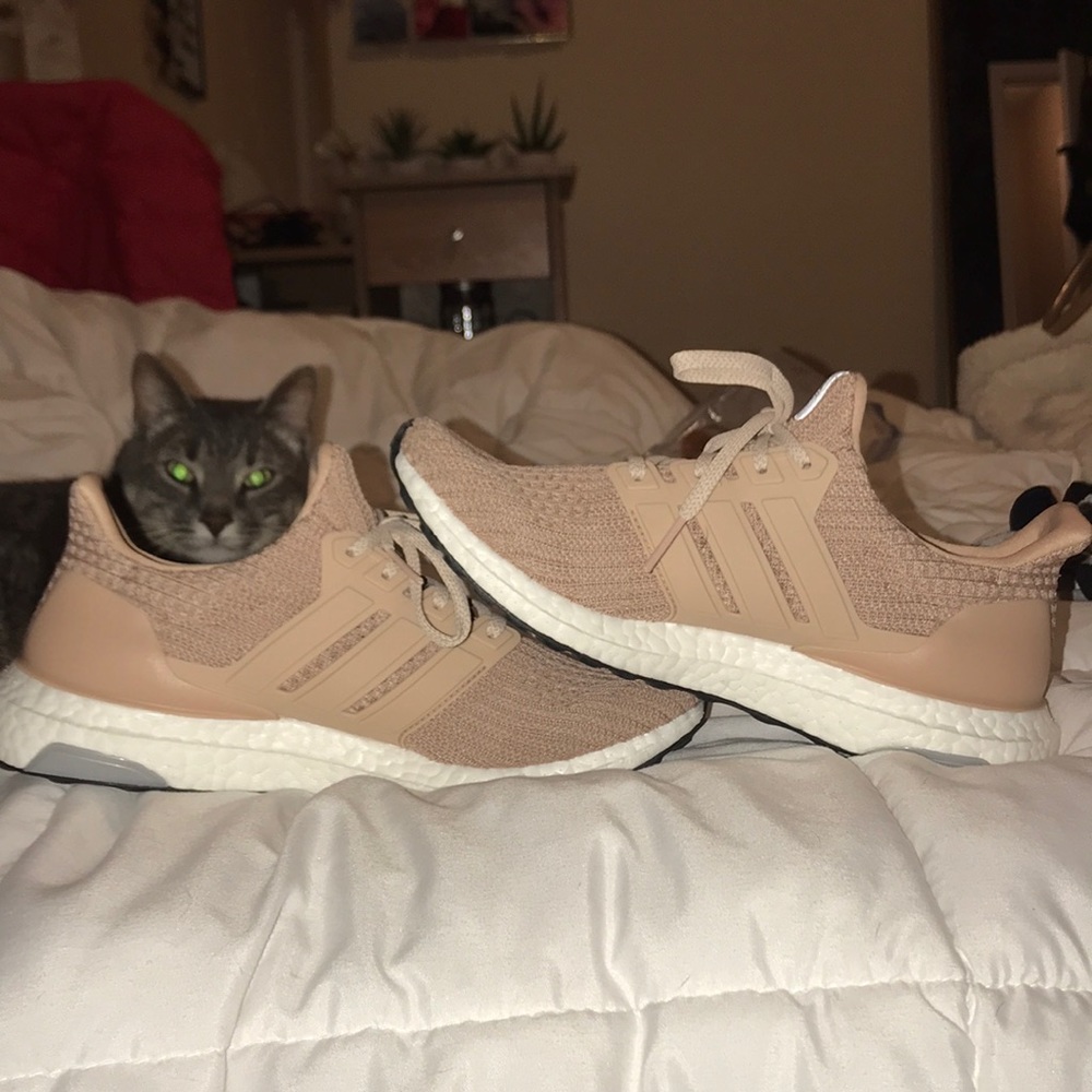 Adidas Ultra boosts (BRAND NEW)